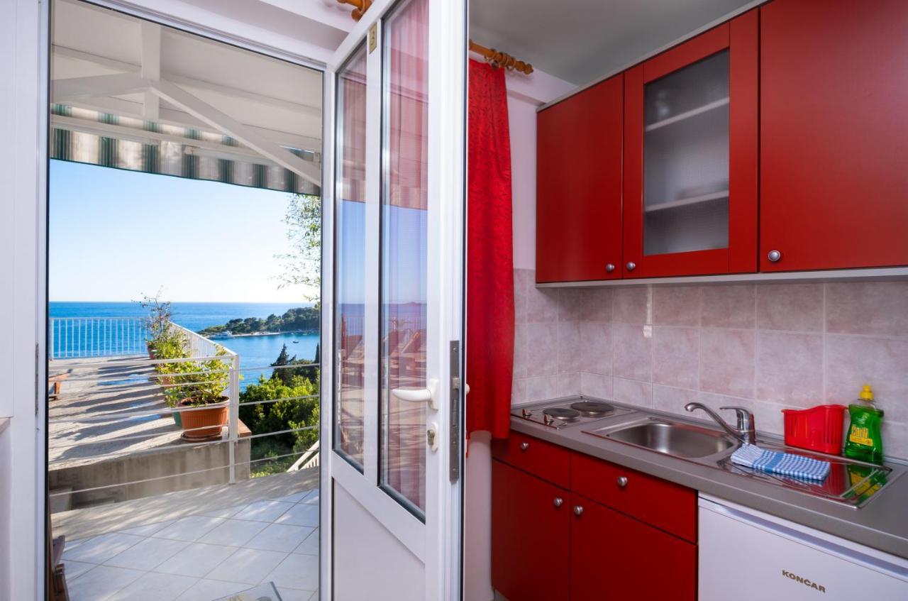 Apartment Katica Mlini